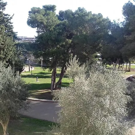 Daire Vue Sur Parc Charles De Gaulle *