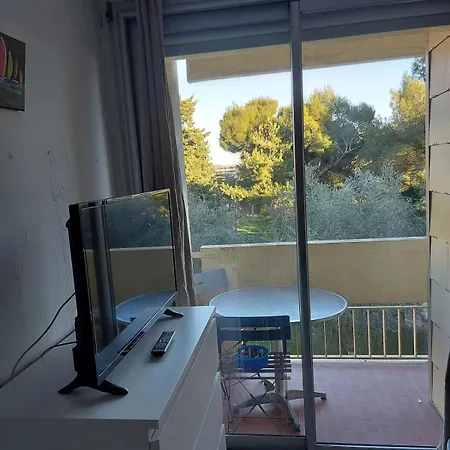 Vue Sur Parc Charles De Gaulle *