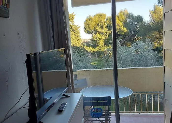 Vue Sur Parc Charles De Gaulle *